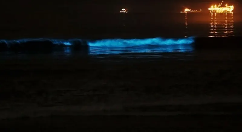 Waves glowing blue with bioluminescent plankton at night, on the California coast.